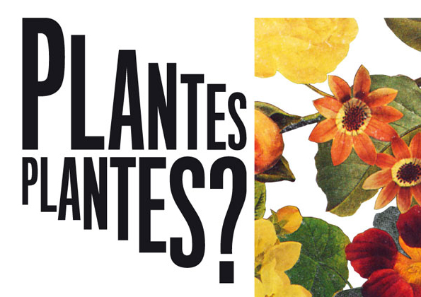 ¿Plantas plantes? Lo urbano vegetal en colectivo